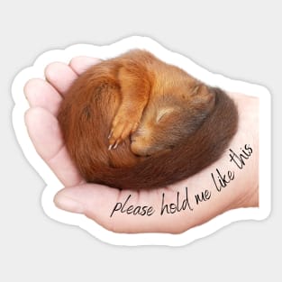 Please hold me like a cute sleeping baby squirrel Sticker